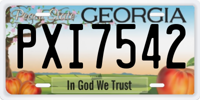 GA license plate PXI7542