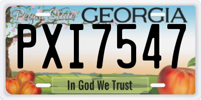 GA license plate PXI7547
