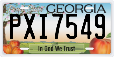 GA license plate PXI7549