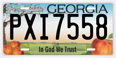 GA license plate PXI7558