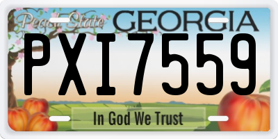 GA license plate PXI7559