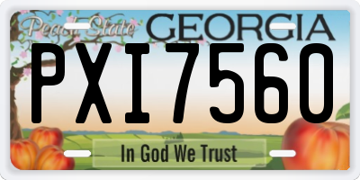 GA license plate PXI7560