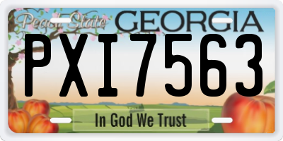GA license plate PXI7563