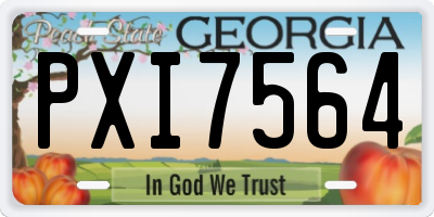 GA license plate PXI7564