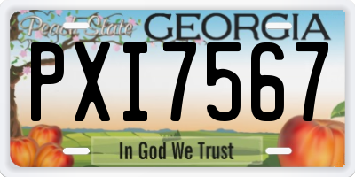 GA license plate PXI7567