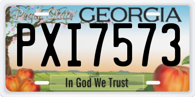 GA license plate PXI7573