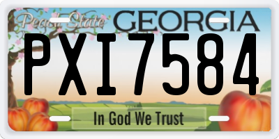 GA license plate PXI7584