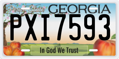 GA license plate PXI7593