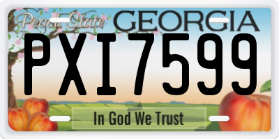 GA license plate PXI7599