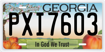 GA license plate PXI7603