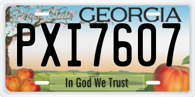 GA license plate PXI7607
