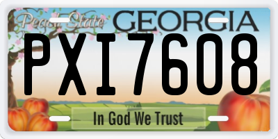 GA license plate PXI7608