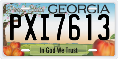 GA license plate PXI7613