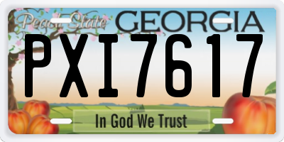 GA license plate PXI7617