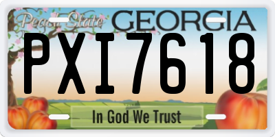 GA license plate PXI7618