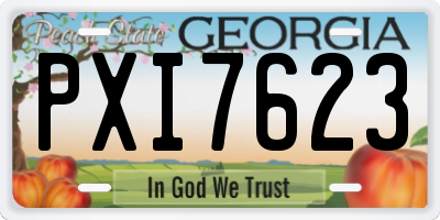 GA license plate PXI7623