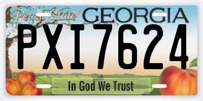 GA license plate PXI7624