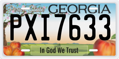 GA license plate PXI7633
