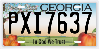 GA license plate PXI7637