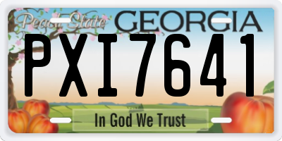 GA license plate PXI7641