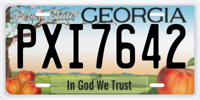 GA license plate PXI7642