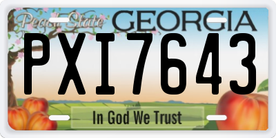 GA license plate PXI7643