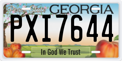 GA license plate PXI7644