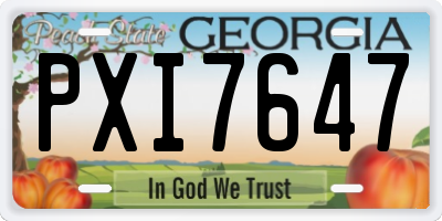 GA license plate PXI7647