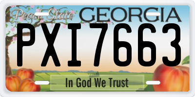 GA license plate PXI7663