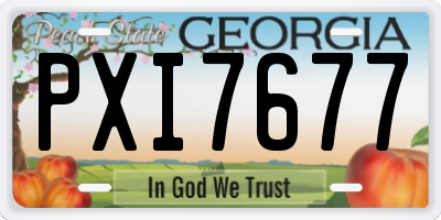 GA license plate PXI7677