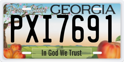 GA license plate PXI7691