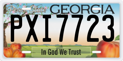 GA license plate PXI7723