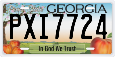 GA license plate PXI7724