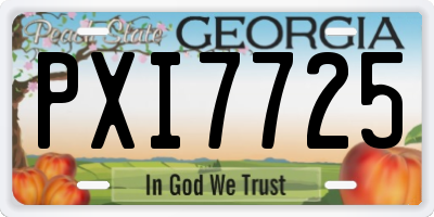 GA license plate PXI7725