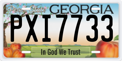 GA license plate PXI7733