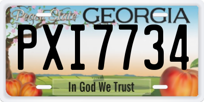 GA license plate PXI7734