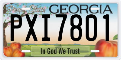 GA license plate PXI7801