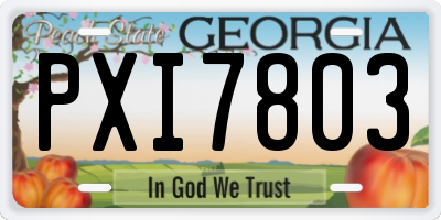 GA license plate PXI7803
