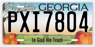 GA license plate PXI7804