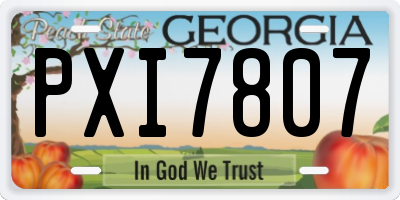 GA license plate PXI7807