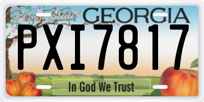 GA license plate PXI7817