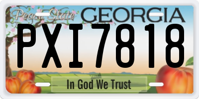 GA license plate PXI7818