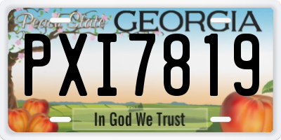 GA license plate PXI7819