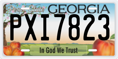GA license plate PXI7823