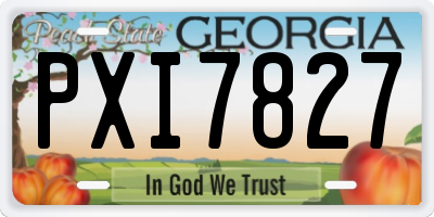 GA license plate PXI7827