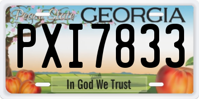 GA license plate PXI7833