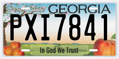 GA license plate PXI7841