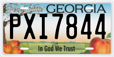 GA license plate PXI7844