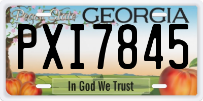 GA license plate PXI7845