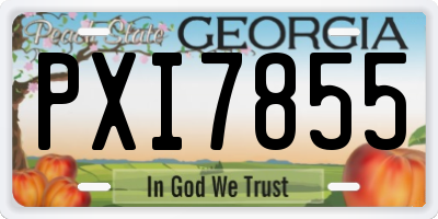 GA license plate PXI7855